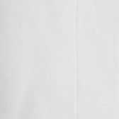 Socquettes sport homme en coton à bouclettes - Blanc | Doré Doré