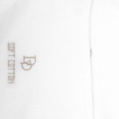 Socquettes courtes avec bord roulé en coton égyptien - Blanc | Doré Doré