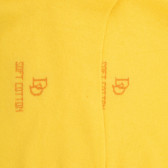 Socquettes femme et fines en coton égyptien - Jaune | Doré Doré