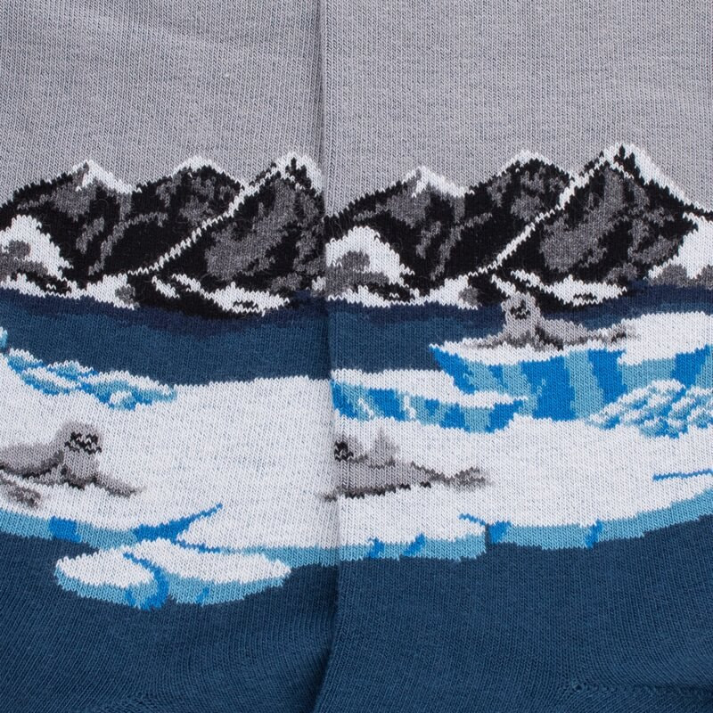 Chaussettes en coton pour hommes avec motif de phoque sur le quai - Bleu Croisette | Doré Doré