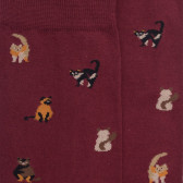 Chaussettes homme en coton à motif chats - Aubergine | Doré Doré