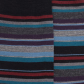 Chaussettes homme en coton à rayures fines multicolores - Noir & Rouge pommard | Doré Doré