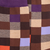 Chaussettes femme échiqiuer en coton égyptien - Marron cacao & Quetsche | Doré Doré