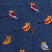 Chaussettes homme en coton motif hibou - Bleu pêcheur & Bleu Macadam | Doré Doré