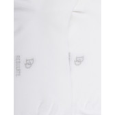 Chaussettes courtes TENCEL™ Lyocell unies pour femmes - Blanc | Doré Doré