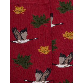 Chaussettes motifs de canards - Bordeaux | Doré Doré
