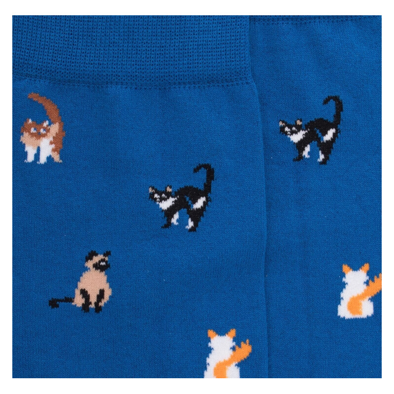 Chaussettes homme en coton à motifs chats - Bleu Cosmos | Doré Doré