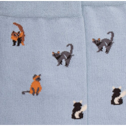 Chaussettes homme en coton à motifs chats - Bleu Glacier | Doré Doré