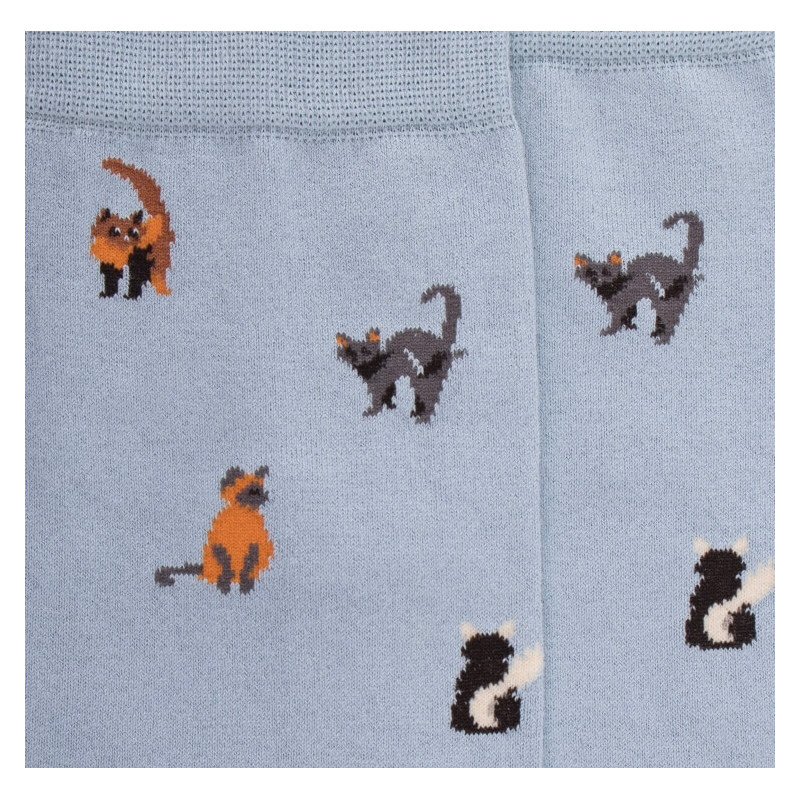 Chaussettes homme en coton à motifs chats - Bleu Glacier | Doré Doré