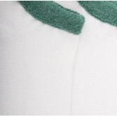 Socquettes femme et fines en coton égyptien avec bord coloré - Blanc & Verveine | Doré Doré