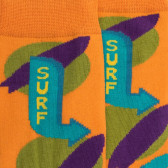 Chaussettes fantaisie homme en fil d'écosse motif Surf - Orange carotte | Doré Doré