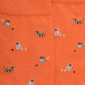 Chaussettes homme en coton à motifs chiens - Oranger | Doré Doré