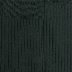 Chaussettes homme fines à côtes en fil d'Écosse - Vert thym | Doré Doré