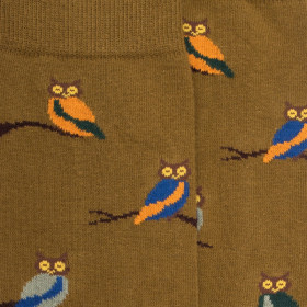 Chaussettes homme en coton motif hibou - Vert pistache & bleu cosmos | Doré Doré