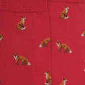 Chaussettes homme en coton à motif renard - Brique | Doré Doré